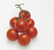 Handful of tomatoes on a white background