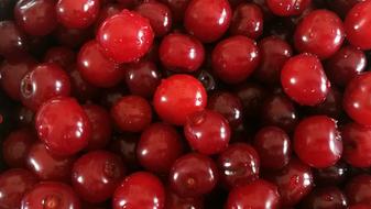sweet berries are wet