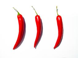hot long pepper on a white background