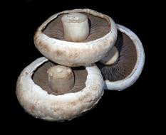 White raw mushrooms on a black background