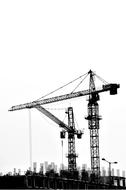 Silhouettes of the industrial cranes, at white background