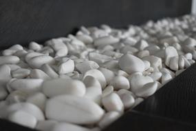 white sea stones