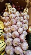 bunch of fragrant garlic