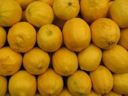lemon wall