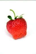 single berry on a white background
