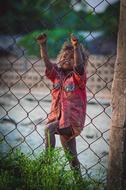 little girl fence