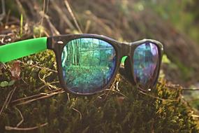 The SunGlasses eyewear