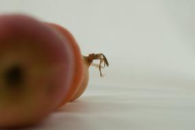 Closeup of apples and onions