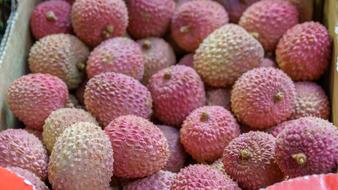 Refreshing lychees in a box