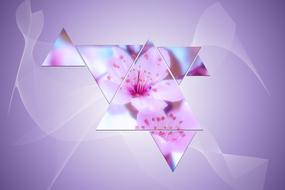 Background Triangle Abstract