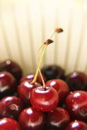 red sweet berries on a white background