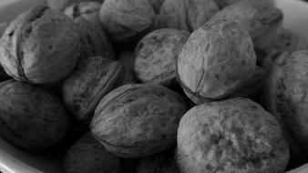 black and white photo of walnuts