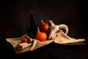 Still Life Skull Studio