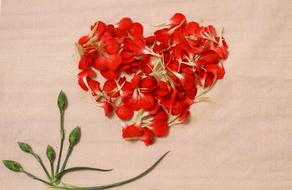 Background Heart