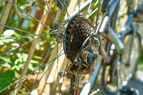 Macro photo of Bicycle Chain wheel