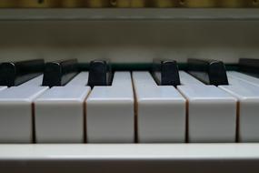 Piano Music macro photo