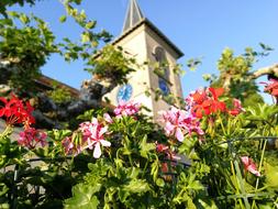 flowers garden tower view