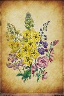 background flowers bouquet
