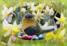 easter bird flowers narcissus