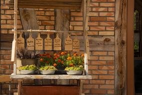 wood store florist