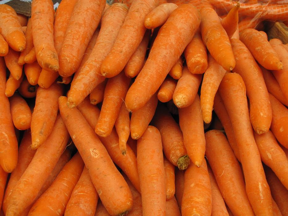 sweet carrot harvest