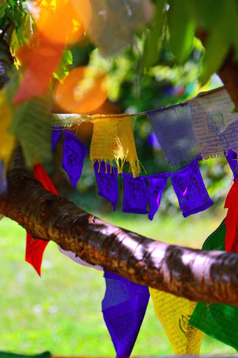 decorations colored on wood