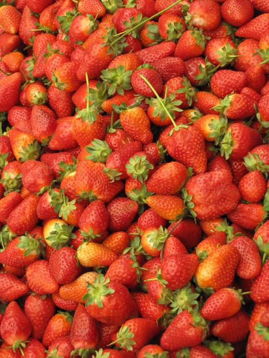 sweet strawberries harvest