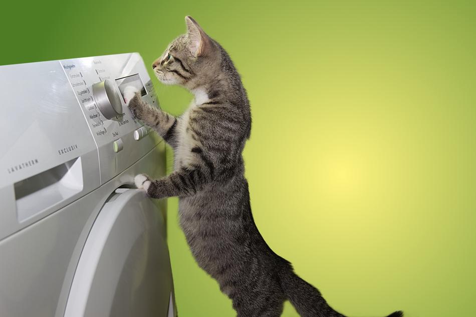 Cat Domestic Dryer