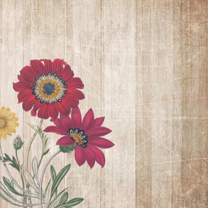 background boards flowers