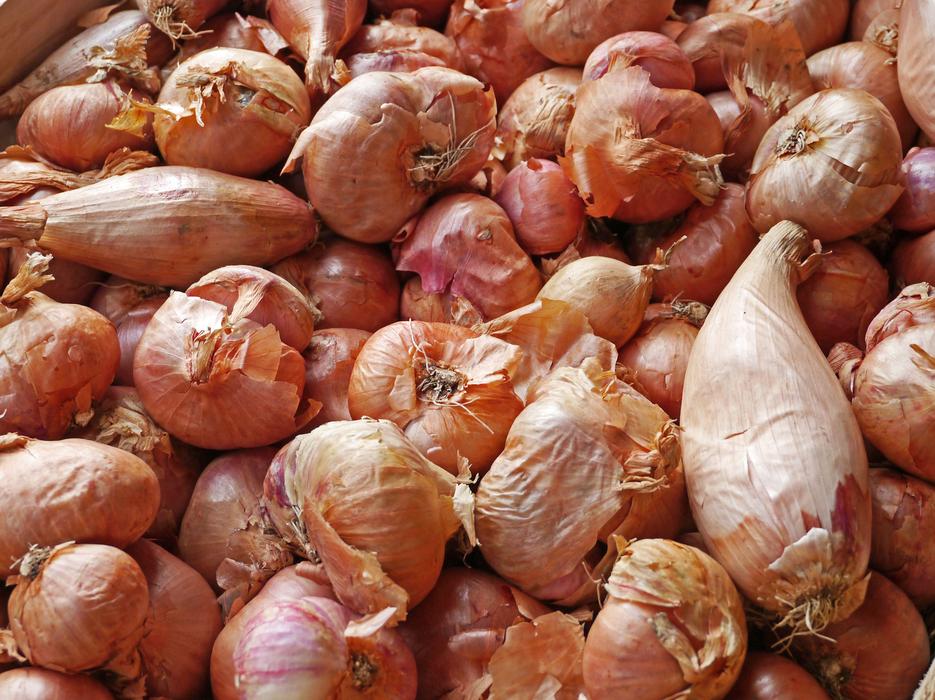 onion crop not peeled