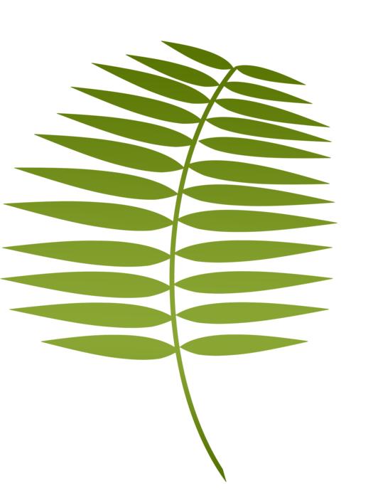 lent palm holy jesus faith