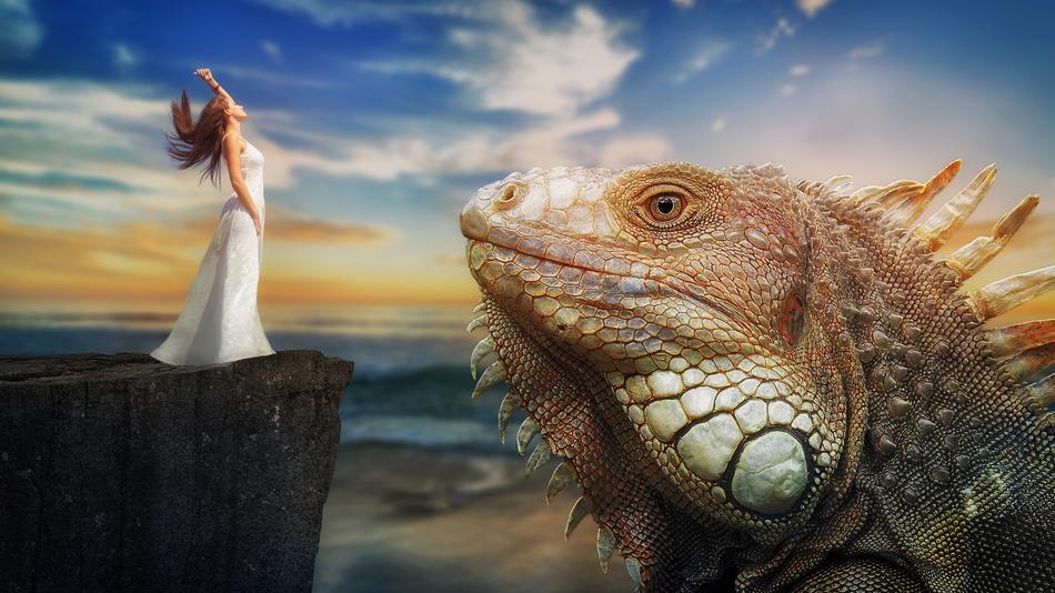 an iguana and a girl is unusual