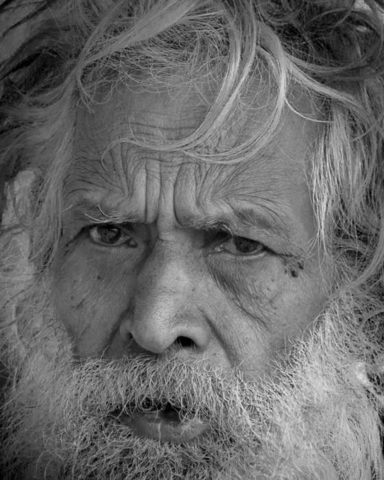 Portrait Beard Facial Hair