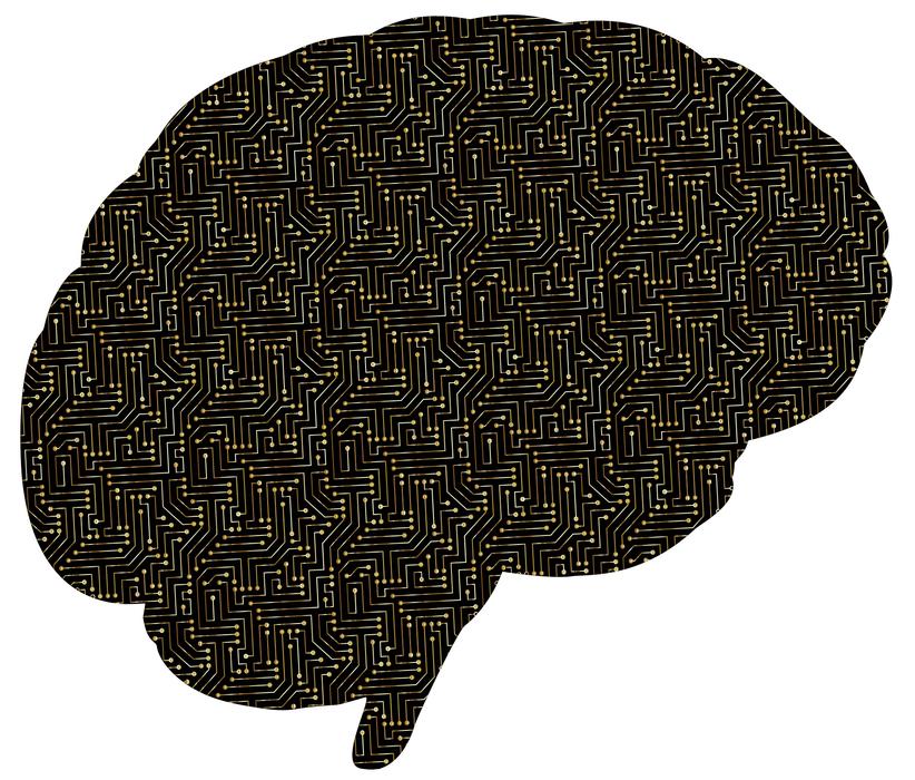 brain computer a i ai anatomy