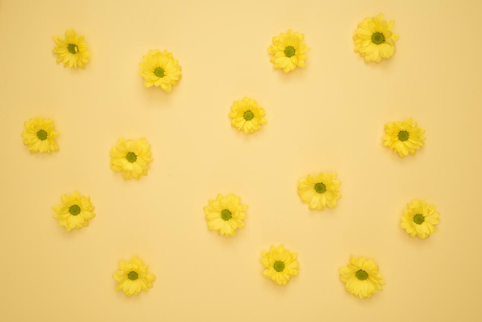 Flowers Yellow Background
