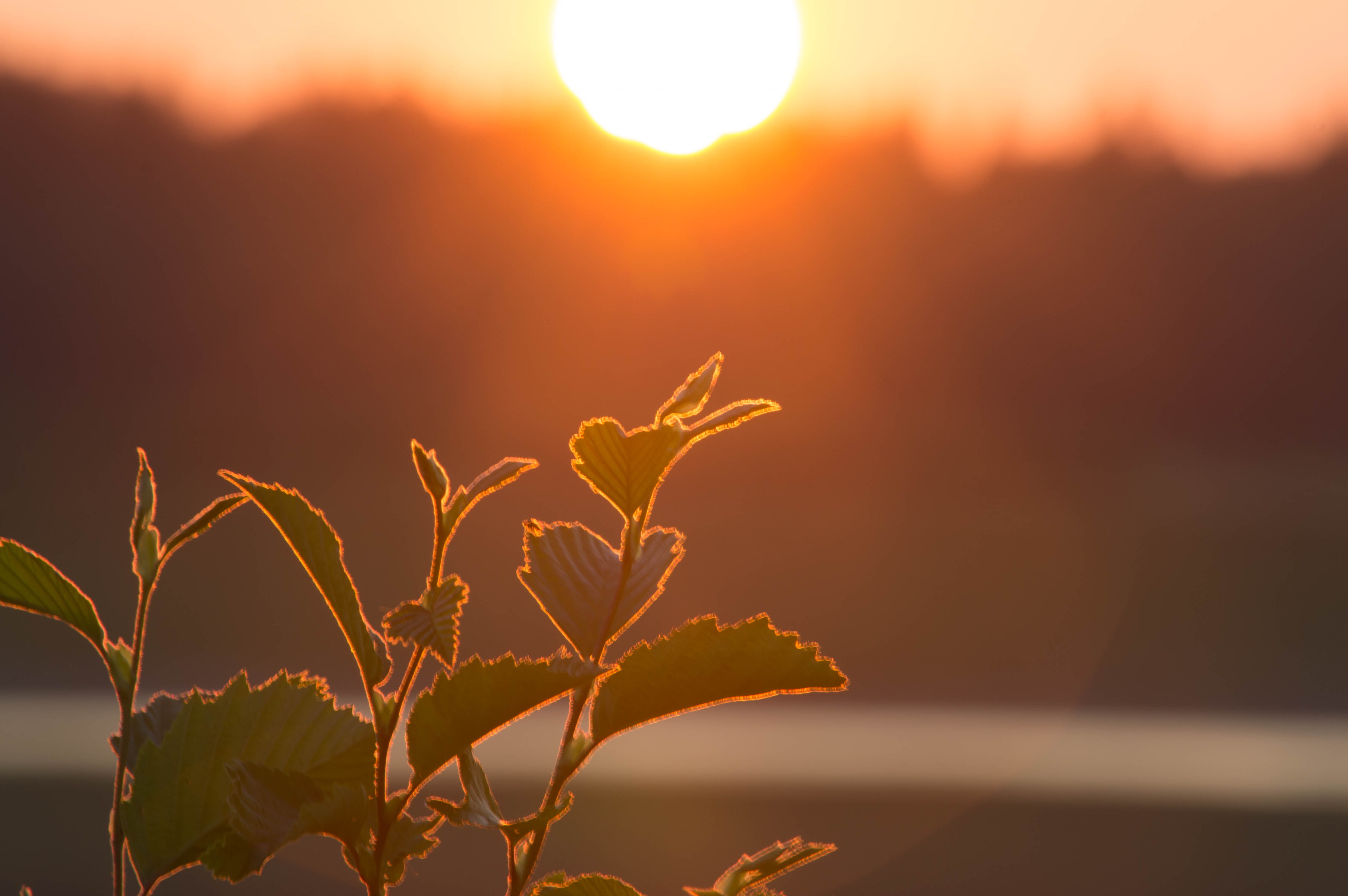 sunset-the-evening-sun-free-image-download