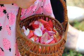 petals basket pink flowers