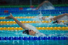 Swimming Sport Pool