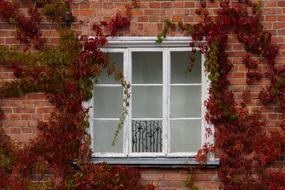 House Window Architecture