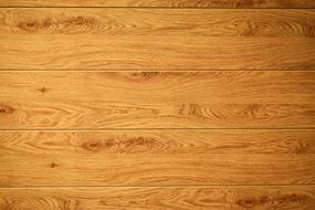 Wooden Oak Texture