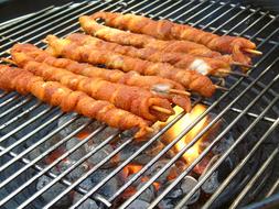 Meat kebab on the fire