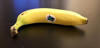 lone banana with a sticker