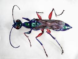 Emerald Cockroach Wasp Ballpoint