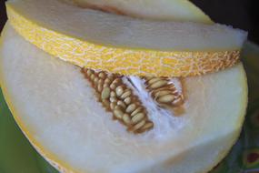 sweet delicious melon