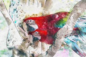 Drawing colored parrots in watercolor