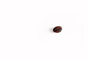 mall single bean of coffee