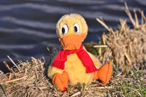 Duck Bird Animal Stuffed