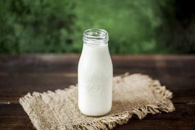 bottle of milk on the table