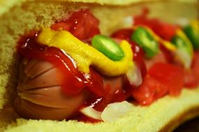 sausage in a bun and sauce