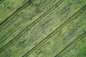 Wood Green Structure